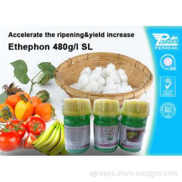 Ethephon 48% SL Plant Growth Regulators To Promote Pre - Ha